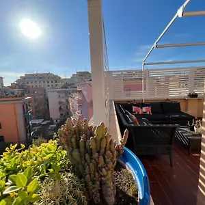 Bubus Terrace , Roma Italia